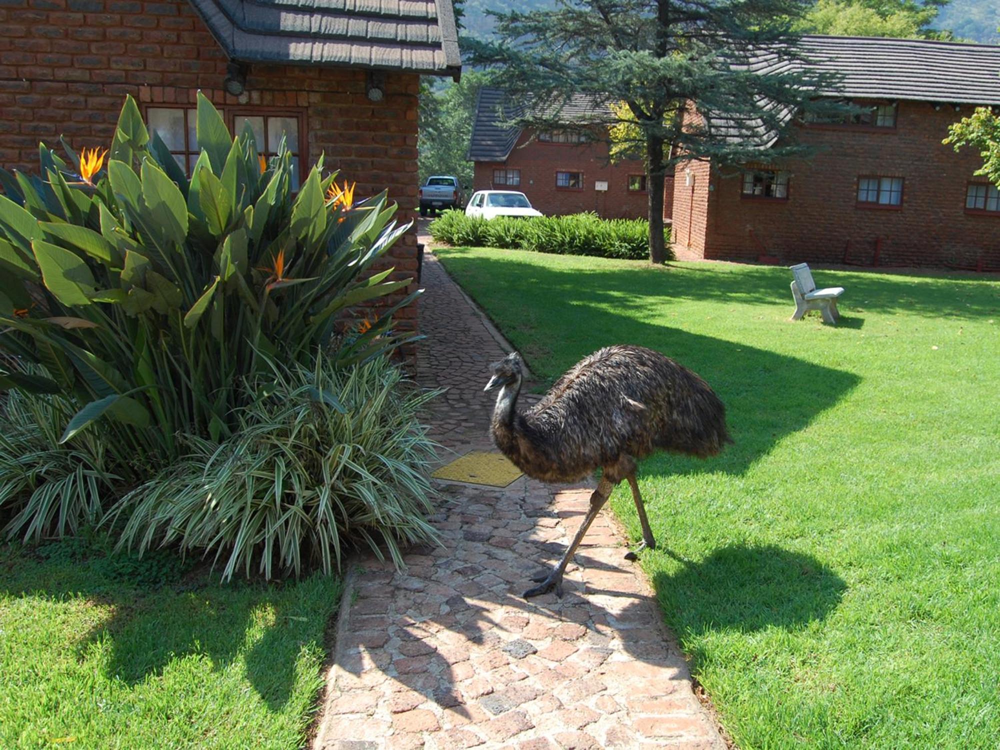 Mount Amanzi Hotel Kosmos Exterior photo